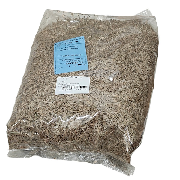 MR711 ENGLESKI LJULJ 1 KG