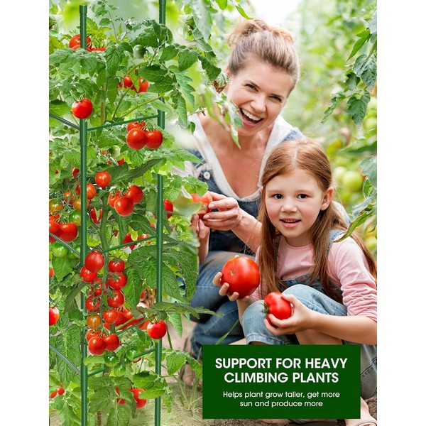 GL30150 DRŽAČ ZA PARADAJZ 11MMX150CMX3KOM