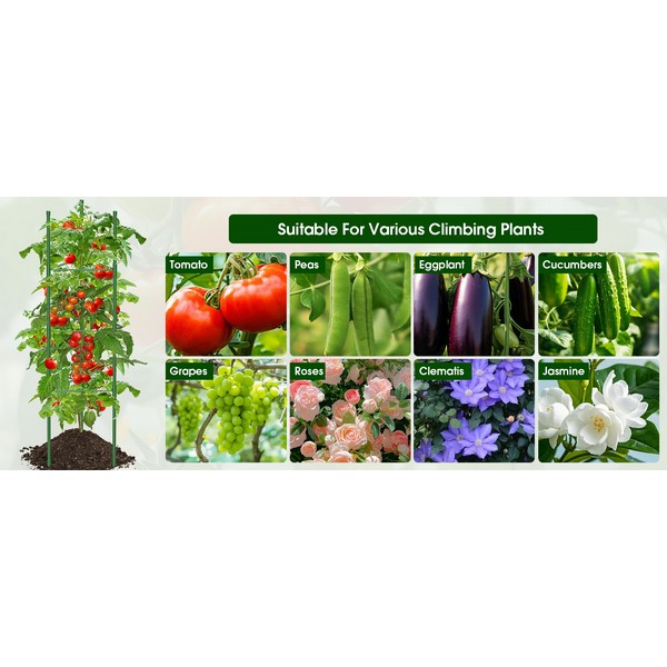 GL30150 DRŽAČ ZA PARADAJZ 11MMX150CMX3KOM