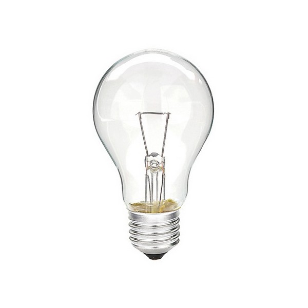 ŽARULJA E27,100W