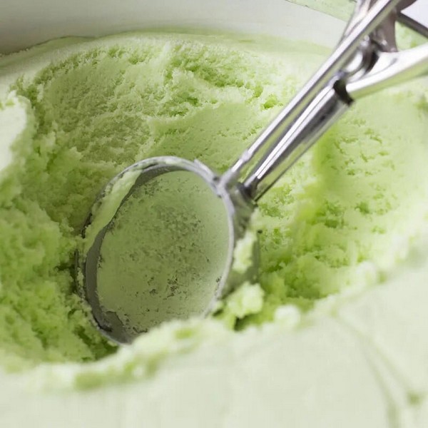 YWF3-16931-44 GRABILICA ZA SLADOLED 22 CM