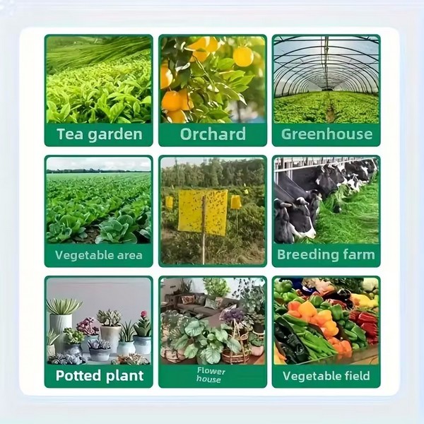 YWG2-15391-1 PLOČA ŽUTA  ZAMKA ZA INSEKTE  SET 20 KOM