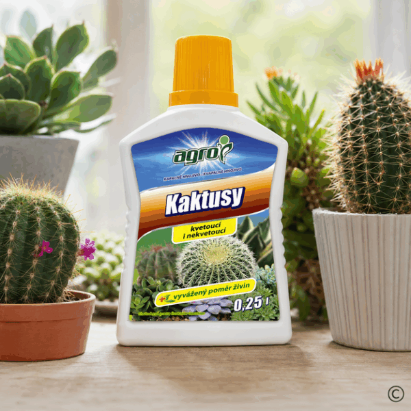 TEKUĆE GNOJIVO ZA KAKTUSE 250 ML