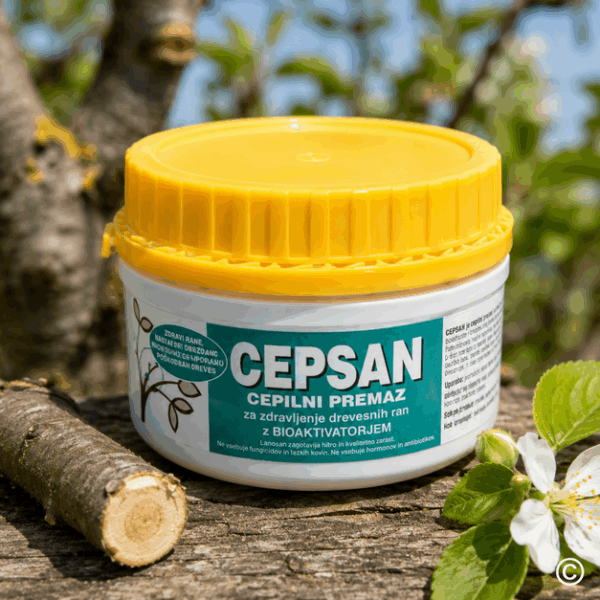 VOSAK VOĆARSKI CEPSAN 250 G