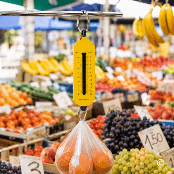 VAGA POTEZNA  12KG